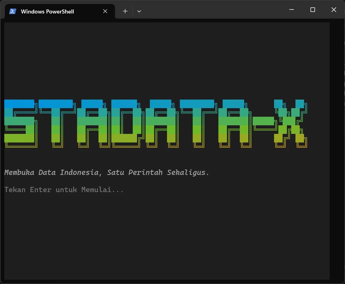 STADATA-X welcome screen, from the project README